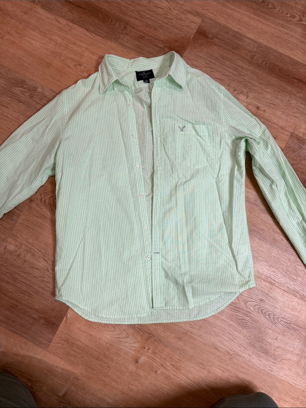 Men’s American Eagle Outfitters Light Mint & White Striped Button-Down Shirt